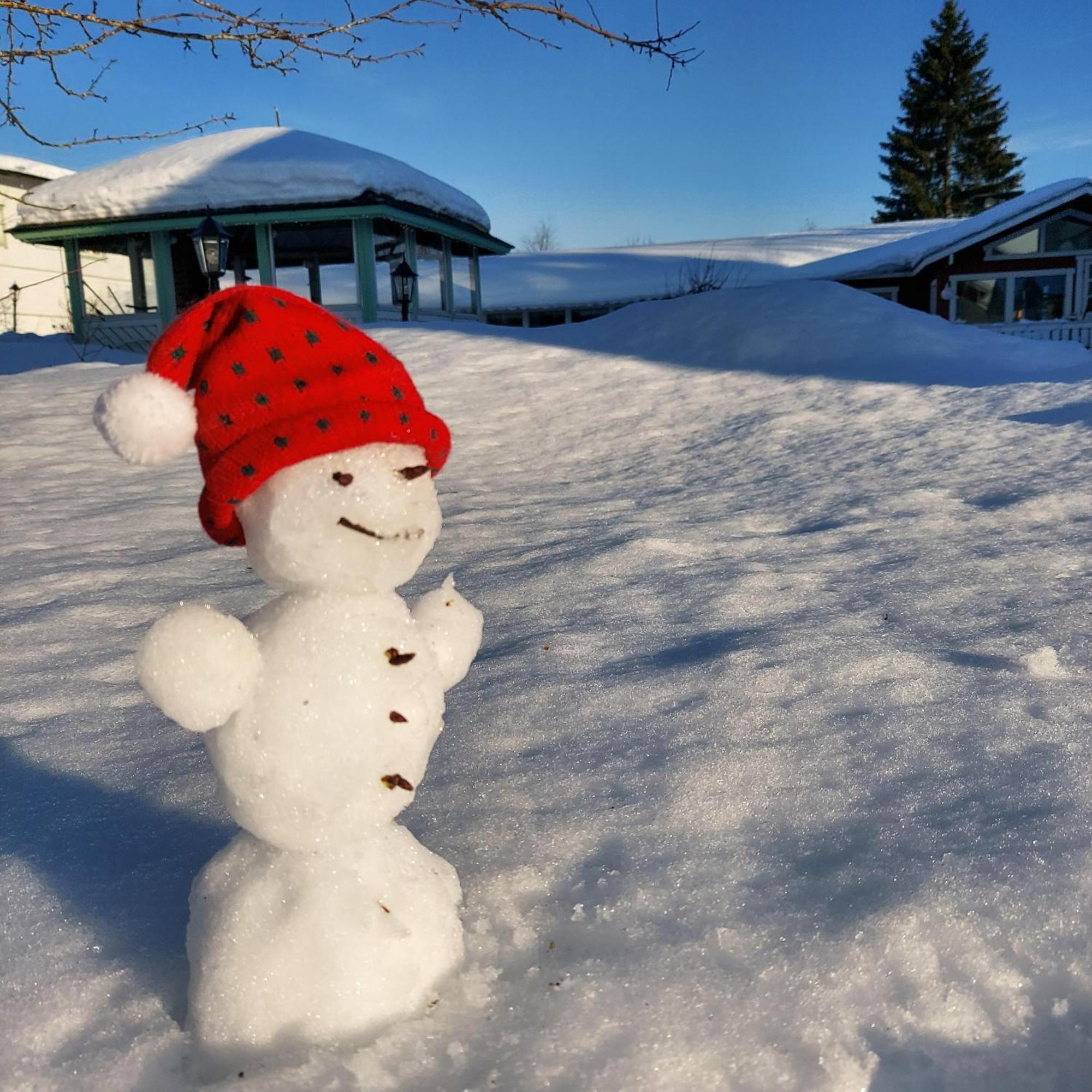 Maalaiskartano Pihkala Hotel Kestilä Buitenkant foto